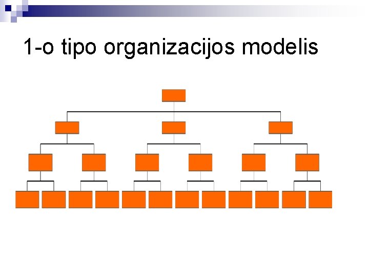 1 -o tipo organizacijos modelis 