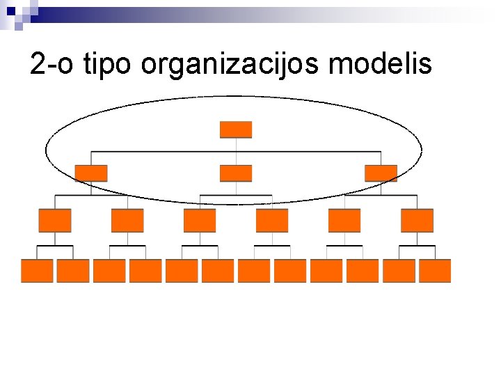 2 -o tipo organizacijos modelis 