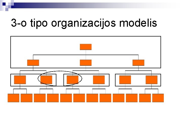 3 -o tipo organizacijos modelis 