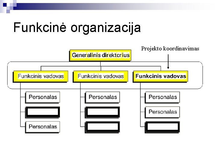 Funkcinė organizacija Projekto koordinavimas 