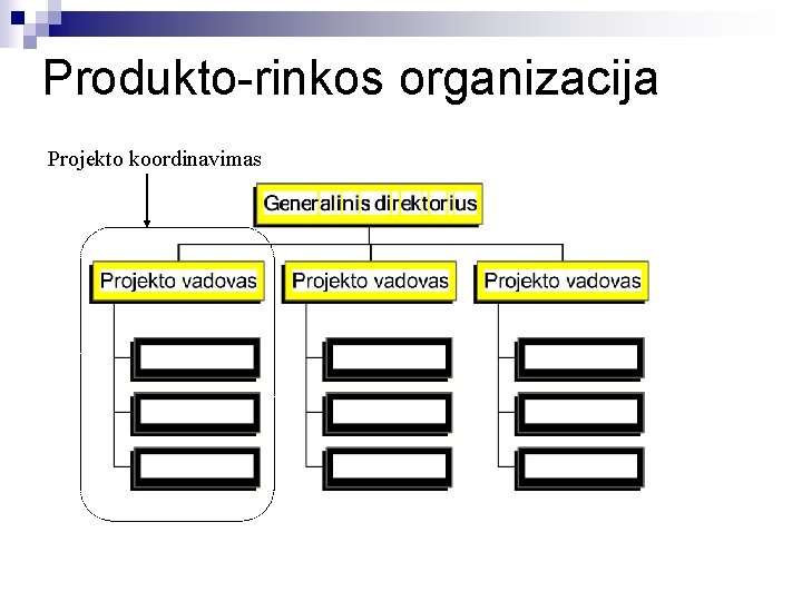 Produkto-rinkos organizacija Projekto koordinavimas 