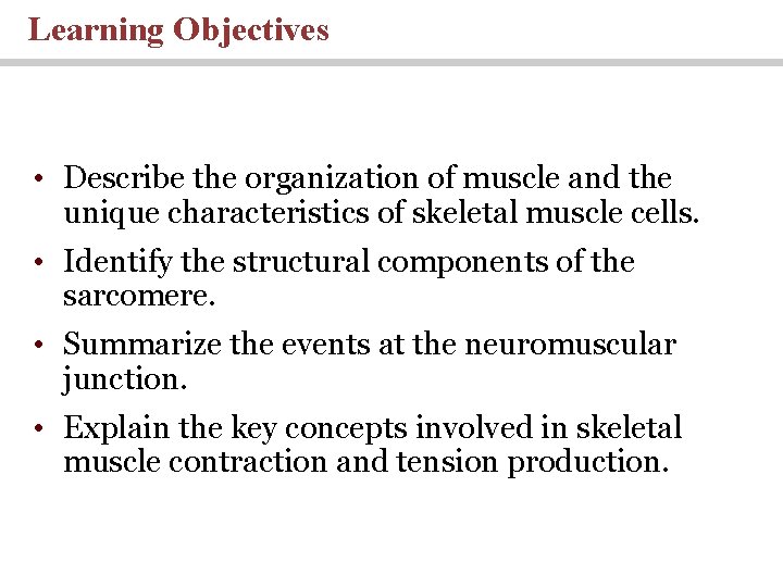Learning Objectives • Describe the organization of muscle and the unique characteristics of skeletal
