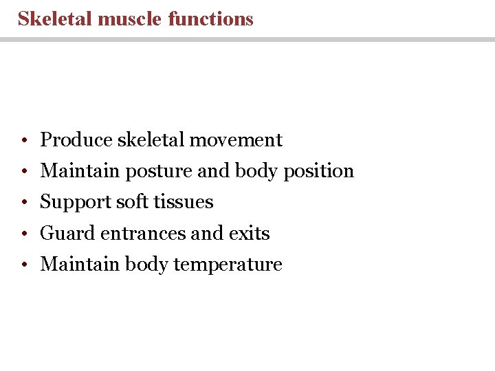 Skeletal muscle functions • Produce skeletal movement • Maintain posture and body position •