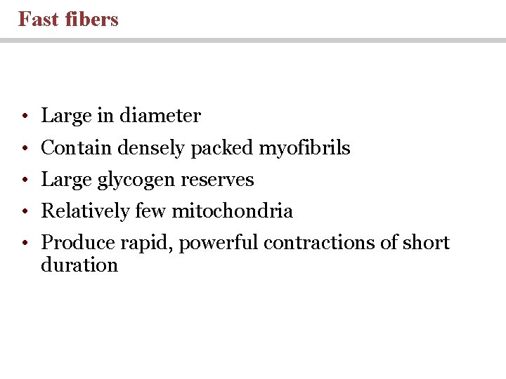 Fast fibers • Large in diameter • Contain densely packed myofibrils • Large glycogen