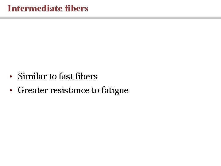 Intermediate fibers • Similar to fast fibers • Greater resistance to fatigue 