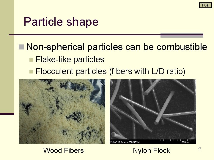 Fuel Particle shape n Non-spherical particles can be combustible n Flake-like particles n Flocculent