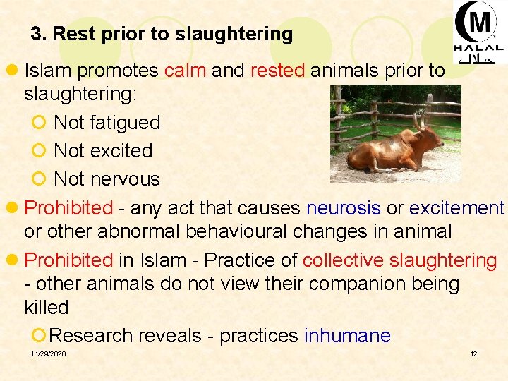 3. Rest prior to slaughtering l Islam promotes calm and rested animals prior to