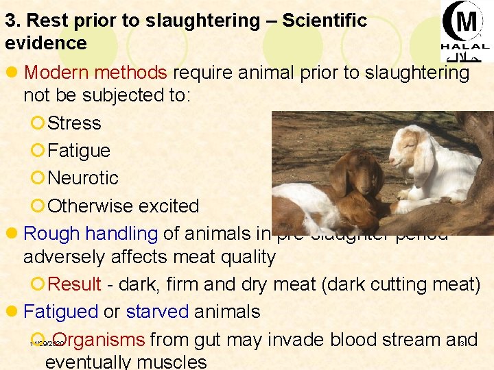 3. Rest prior to slaughtering – Scientific evidence l Modern methods require animal prior