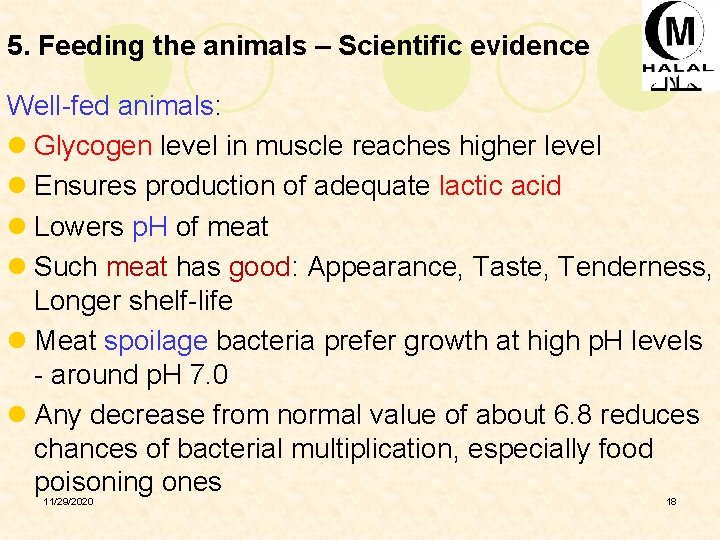 5. Feeding the animals – Scientific evidence Well-fed animals: l Glycogen level in muscle