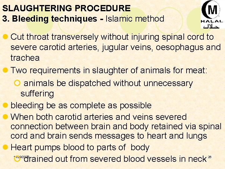 SLAUGHTERING PROCEDURE 3. Bleeding techniques - Islamic method l Cut throat transversely without injuring