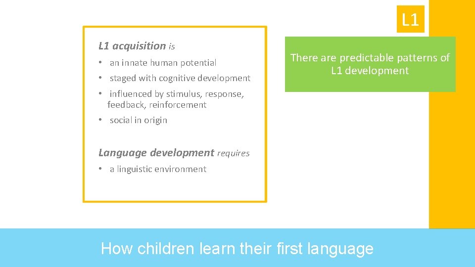 L 1 acquisition is • an innate human potential • staged with cognitive development