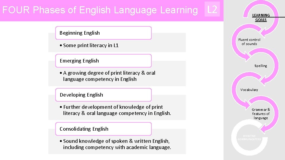 FOUR Phases of English Language Learning L 2 LEARNING GOALS Beginning English • Some