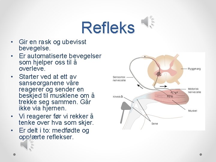 Refleks • Gir en rask og ubevisst bevegelse. • Er automatiserte bevegelser som hjelper Refleks • Gir en rask og ubevisst bevegelse. • Er automatiserte bevegelser som hjelper