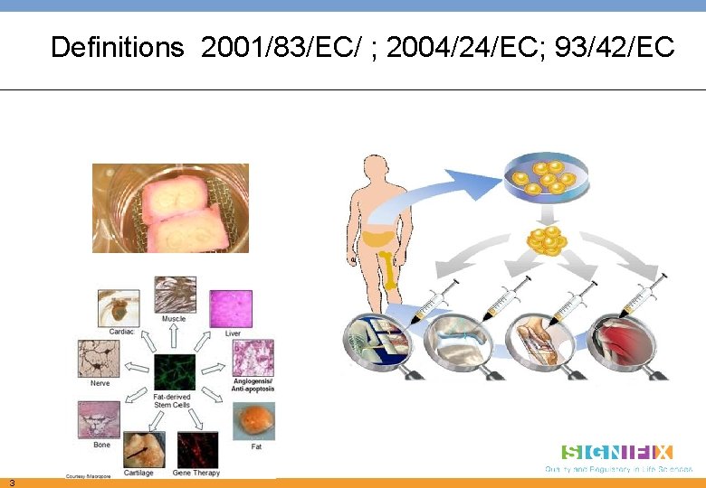 Definitions 2001/83/EC/ ; 2004/24/EC; 93/42/EC 3 