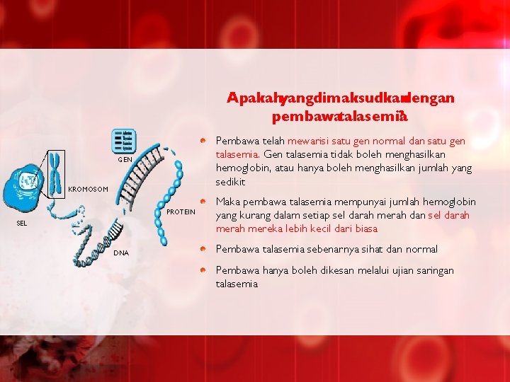 Talasemia gen Thalassemia (Tan