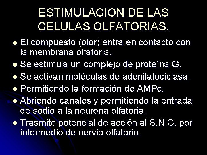 ESTIMULACION DE LAS CELULAS OLFATORIAS. El compuesto (olor) entra en contacto con la membrana ESTIMULACION DE LAS CELULAS OLFATORIAS. El compuesto (olor) entra en contacto con la membrana