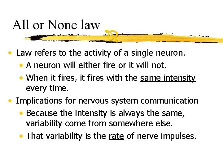 All or None law • Law refers to the activity of a single neuron.