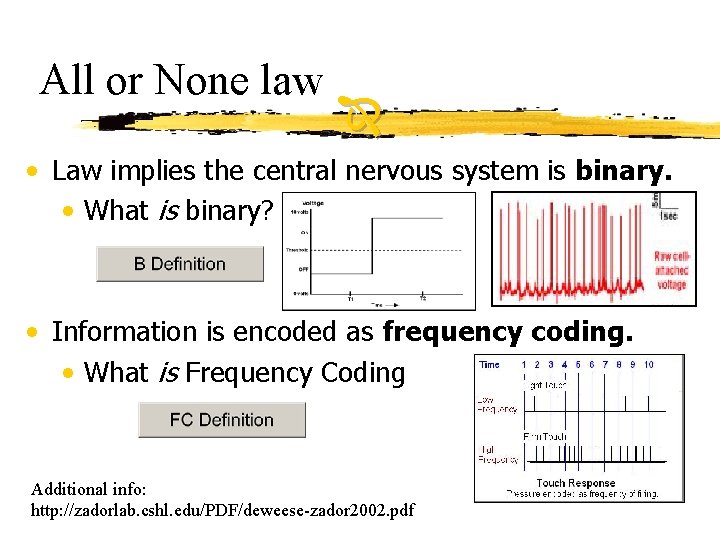 All or None law • Law implies the central nervous system is binary. • All or None law • Law implies the central nervous system is binary. •