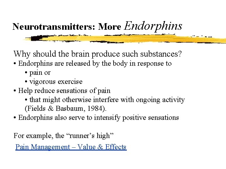 Neurotransmitters: More Endorphins Why should the brain produce such substances? • Endorphins are released