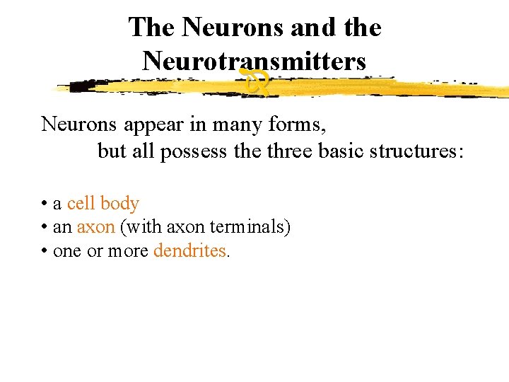 The Neurons and the Neurotransmitters Neurons appear in many forms, but all possess the