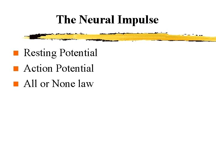 The Neural Impulse n n n Resting Potential Action Potential All or None law