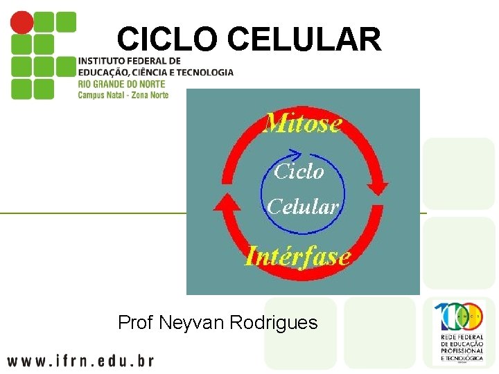CICLO CELULAR Prof Neyvan Rodrigues 