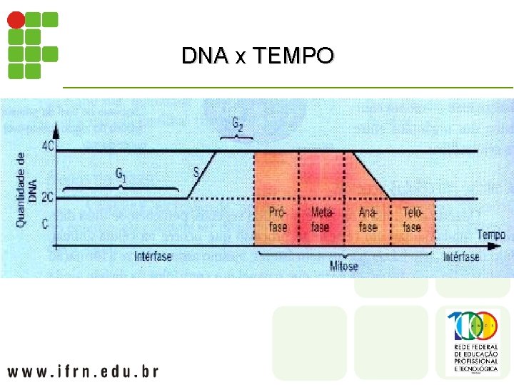 DNA x TEMPO 