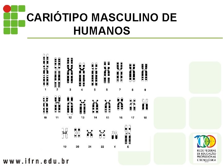 CARIÓTIPO MASCULINO DE HUMANOS 