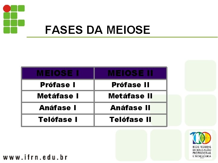 FASES DA MEIOSE II Prófase II Metáfase II Anáfase II Telófase II 
