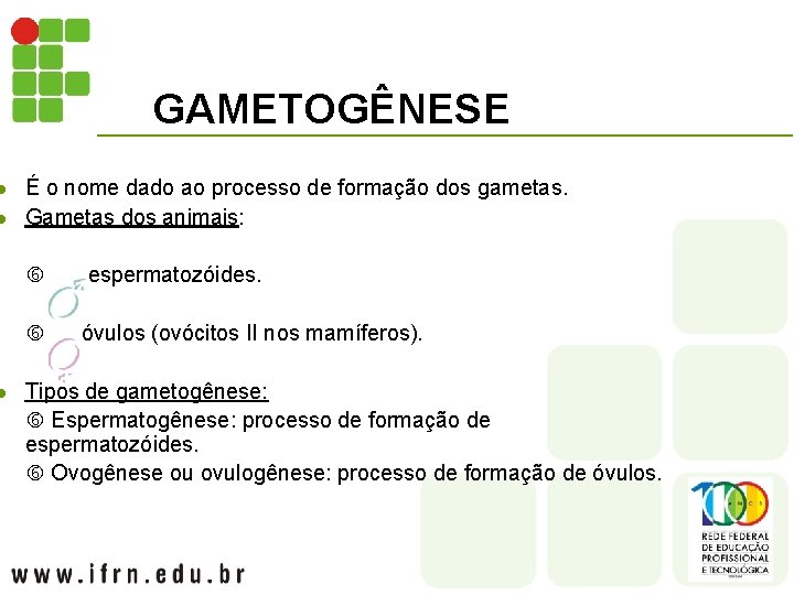 l l l GAMETOGÊNESE É o nome dado ao processo de formação dos gametas.