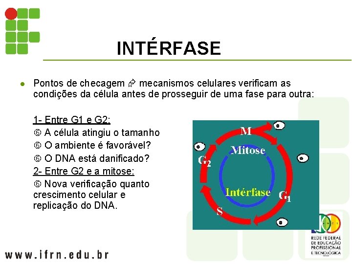 INTÉRFASE l Pontos de checagem mecanismos celulares verificam as condições da célula antes de