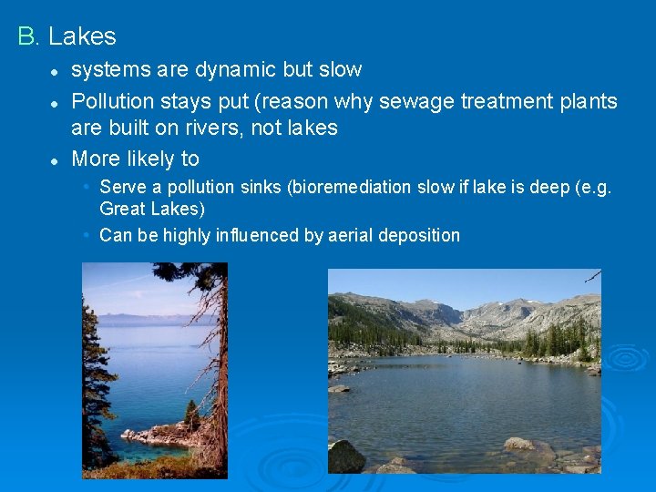 B. Lakes l l l systems are dynamic but slow Pollution stays put (reason