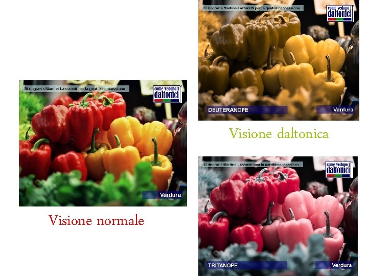 Visione daltonica Visione normale 