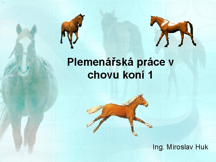 Plemenářská práce v chovu koní 1 Ing. Miroslav Huk 