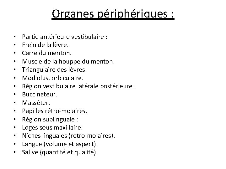 Organes périphériques : • • • • Partie antérieure vestibulaire : Frein de la Organes périphériques : • • • • Partie antérieure vestibulaire : Frein de la