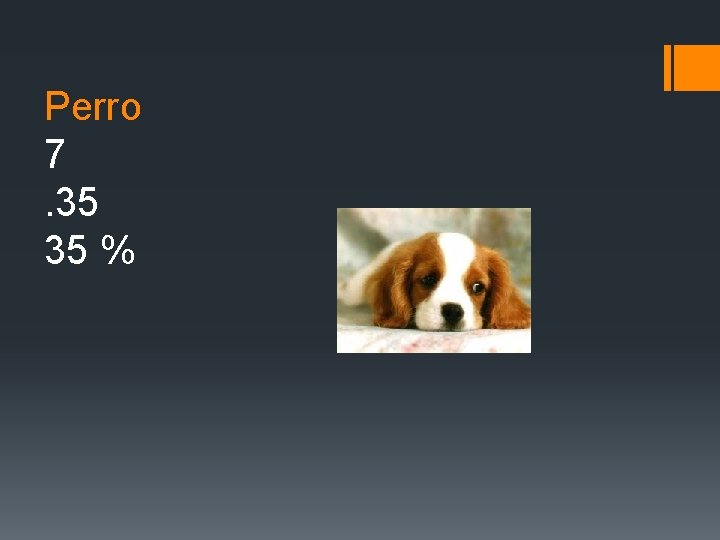 Perro 7. 35 35 % Perro 7. 35 35 %