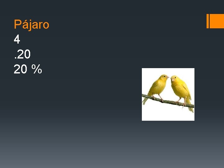 Pájaro 4. 20 20 % Pájaro 4. 20 20 %