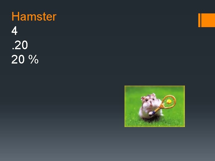 Hamster 4. 20 20 % Hamster 4. 20 20 %