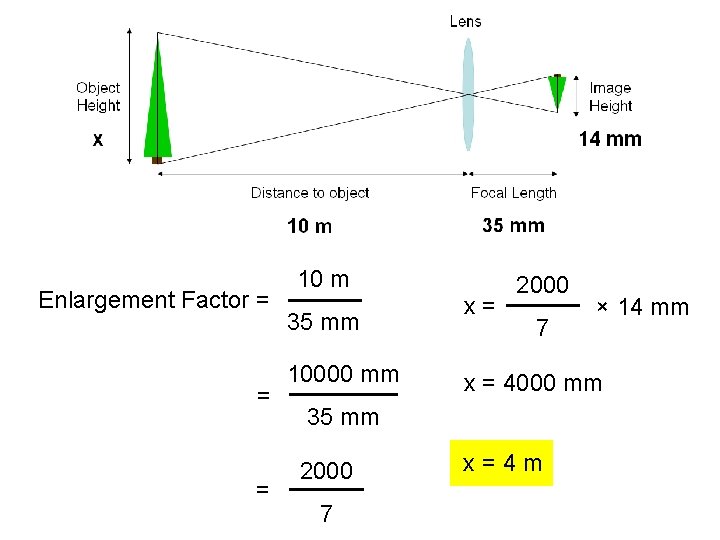 Enlargement Factor = = = 10 m 35 mm 10000 mm x= 2000 7 Enlargement Factor = = = 10 m 35 mm 10000 mm x= 2000 7