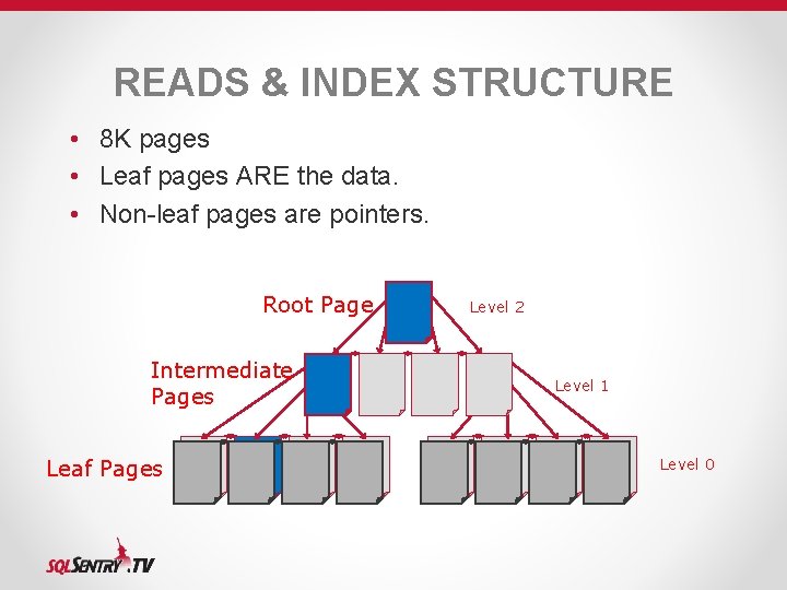 READS & INDEX STRUCTURE • 8 K pages • Leaf pages ARE the data. READS & INDEX STRUCTURE • 8 K pages • Leaf pages ARE the data.