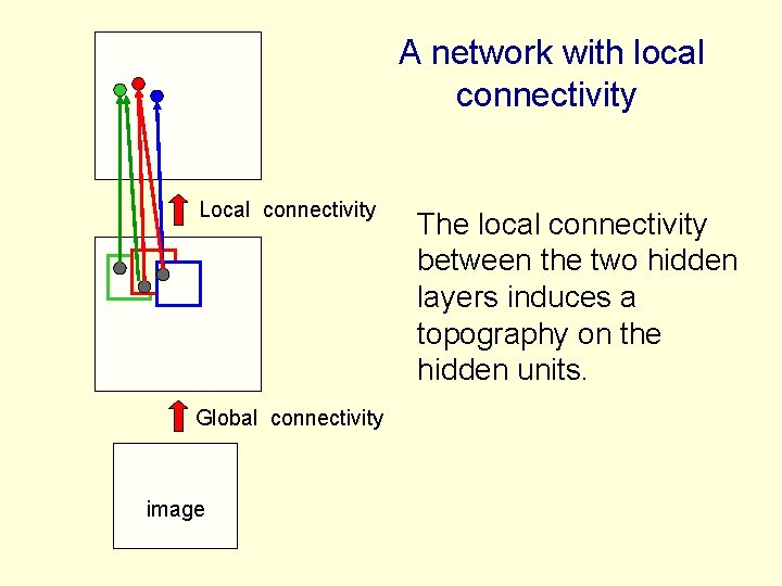 A network with local connectivity Local connectivity Global connectivity image The local connectivity between