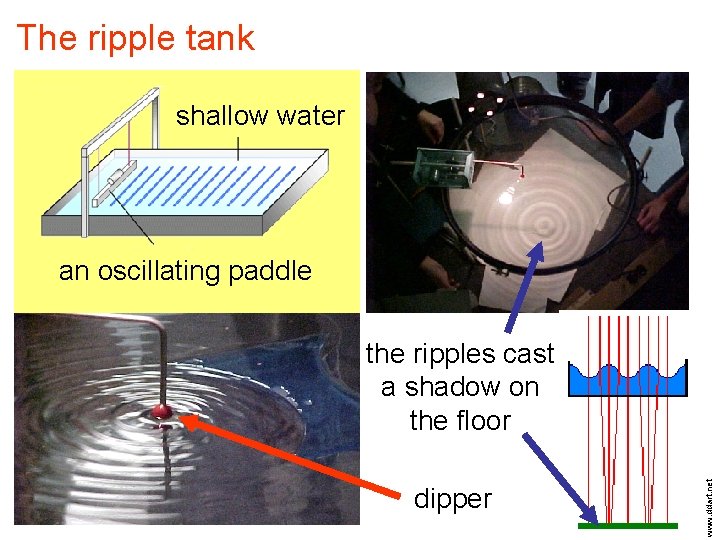 The ripple tank shallow water an oscillating paddle dipper www. ddart. net the ripples