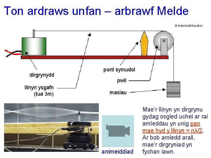 Ton ardraws unfan – arbrawf Melde © Antonine. Education dirgrynydd llinyn ysgafn (tua 3