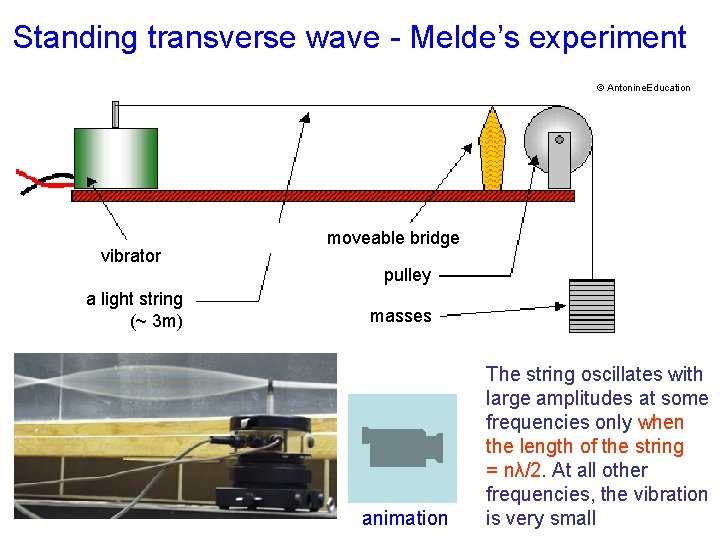 Standing transverse wave - Melde’s experiment © Antonine. Education vibrator a light string (~