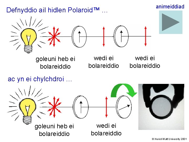 Defnyddio ail hidlen Polaroid™ … goleuni heb ei bolareiddio wedi ei bolareiddio animeiddiad wedi