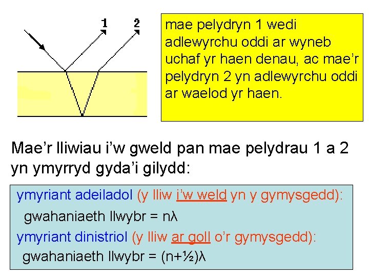 mae pelydryn 1 wedi adlewyrchu oddi ar wyneb uchaf yr haen denau, ac mae’r