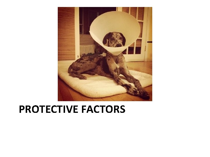 PROTECTIVE FACTORS 
