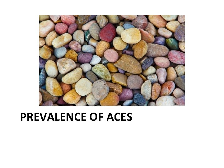 PREVALENCE OF ACES 
