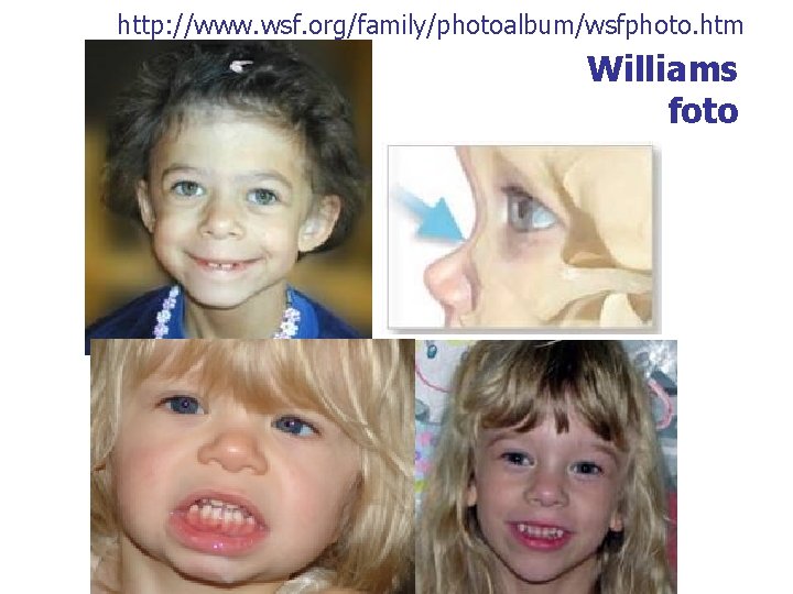 http: //www. wsf. org/family/photoalbum/wsfphoto. htm Williams foto 