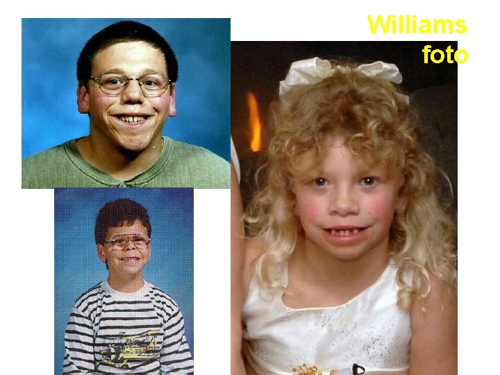 Williams foto 